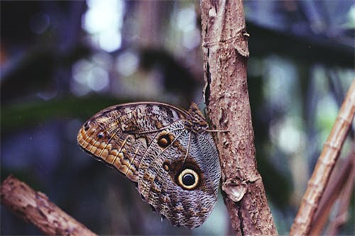 《藏海传》全集百度云（1080p网盘资源分享）