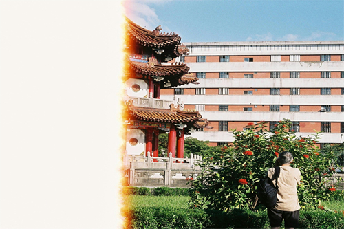 （橘祥如意）（完整观看版）在线播放